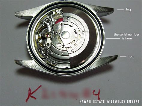 rolex movement serial number|Rolex value by serial number.